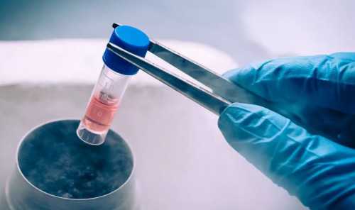 探秘辅助生殖：借卵试管流程、费用与专业机构解析
