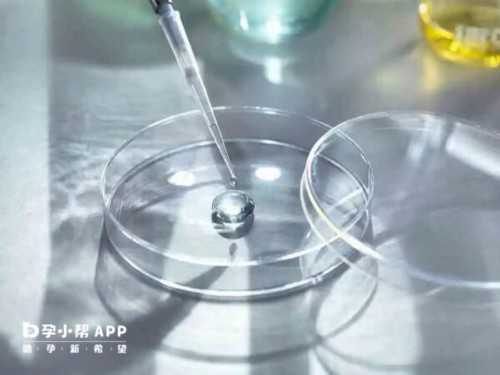 广西正规三代试管婴儿机构排名分享,试管供卵代怀费用多少