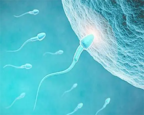 北医三院三代供卵代怀费用深度解析：助孕包男孩，8-16万预算够吗？