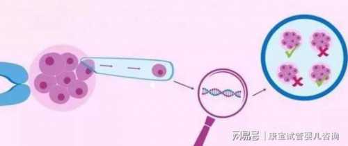 代生及费用-三代试管婴儿和羊水穿刺的区别-三代试管和羊水穿刺哪个好些